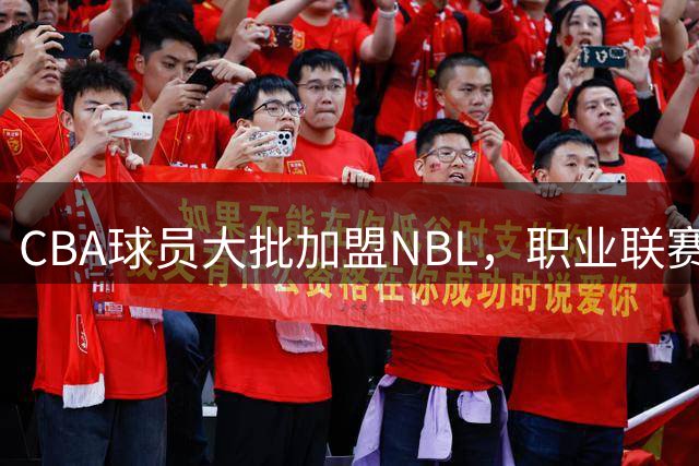 CBA球员大批加盟NBL，职业联赛升降级机制重启